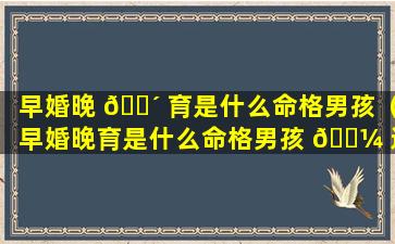 早婚晚 🌴 育是什么命格男孩（早婚晚育是什么命格男孩 🌼 还是女孩）